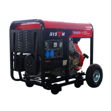 BS7500DCE 10kw diesel generator price